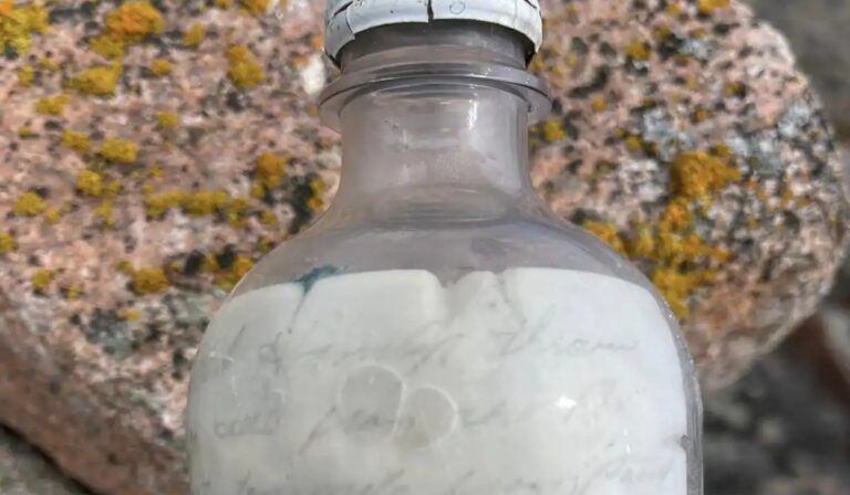 Bottle thrown into the sea 30 years ago, now in the hands of a woman, there was a special letter inside!