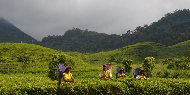 India to build 10,000 houses in Sri Lanka's tea gardens, signs two important agreements