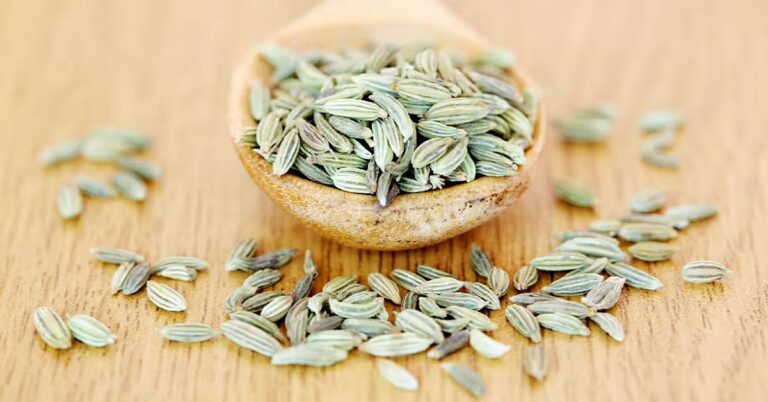 Fennel is a panacea remedy for stomach gas and constipation, consume it daily in these 4 ways.