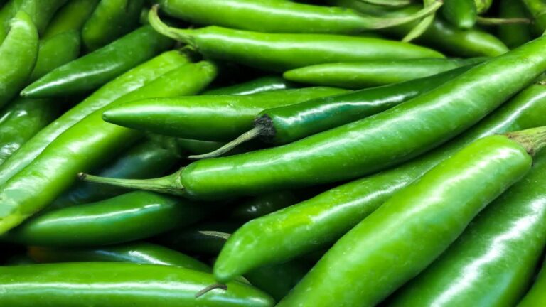 From weight control to glowing skin, know the countless benefits of eating green chilies