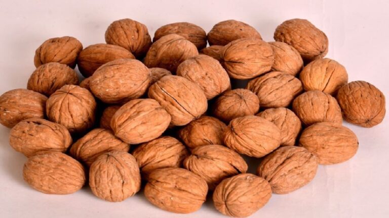 Here are 5 major benefits of eating walnuts on an empty stomach in winter