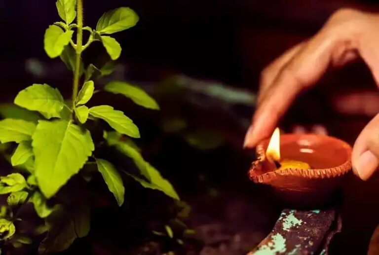 Do not even mistakenly keep these things near Tulsi, mother may get angry Lakshmi