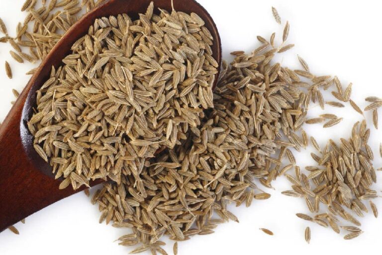 Cumin is not only a treasure of taste but also for health, know how to use it for which problem.