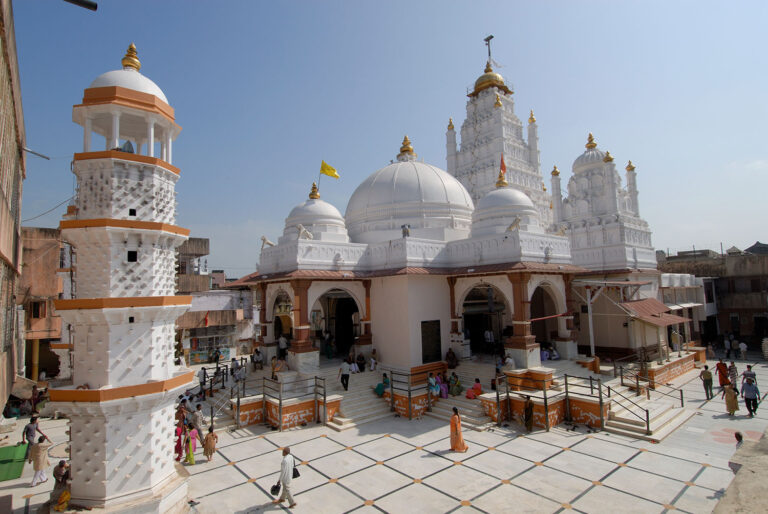 Jai Ranchhods Gunjya Naad Amalki Ekadashi attracted a sea of devotees in Srijis procession 1