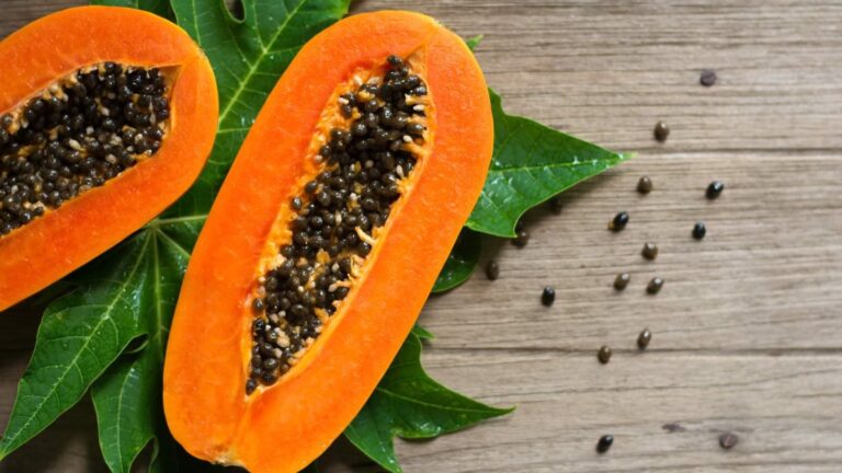 Papaya seeds will protect against cancer a major benefit of eating them this way along with many other benefits 1