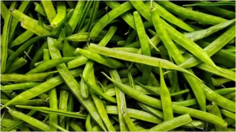 Eating guar pods daily will make your sagging stomach disappear know its other benefits