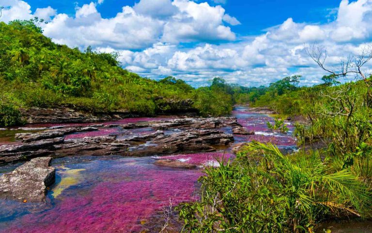 A river in which 'Indradhanush' flows, amazes the onlookers, this place looks like another world!