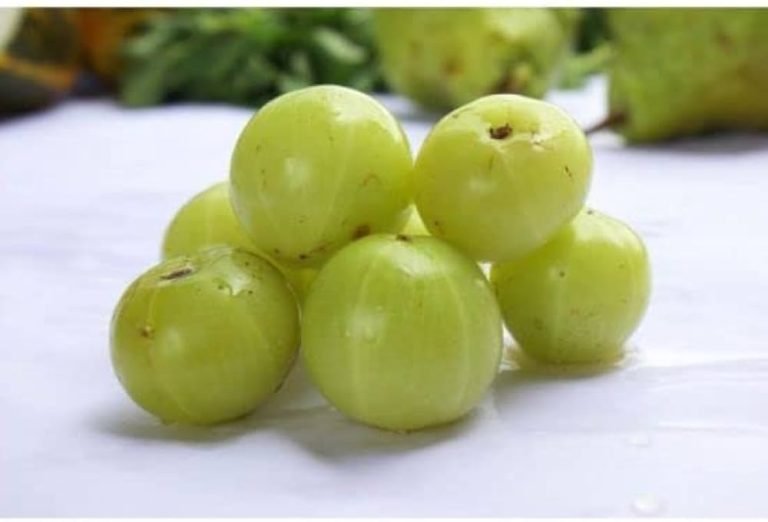 Illnesses and problems will go away by drinking amla juice on an empty stomach every day