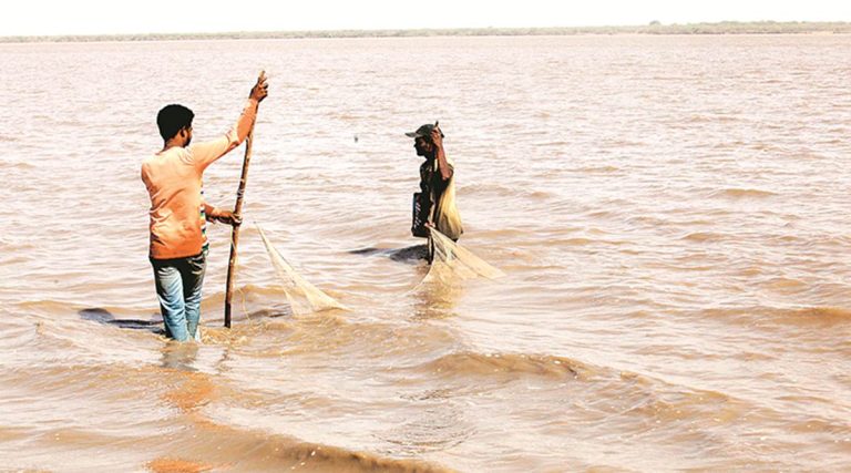 Motorists who had gone to enjoy the fun on the banks of the Narmada got trapped in the water