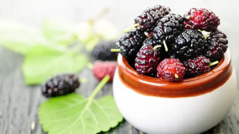 Mulberry Benefits: Do you eat mulberry every day in summer, then know its health benefits.