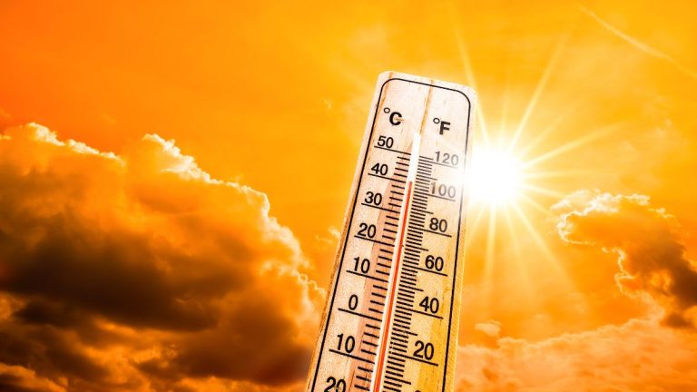 heat wave in india at its peak temperature at this degree